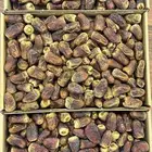 تمر برني العيص من المدينة المنورة