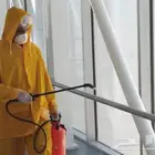 شركة مكافحه حشرات بالخرج