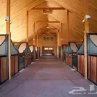 مطلوب اسطبل للايجار