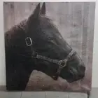 لوحة خيل