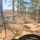 جي سي بي