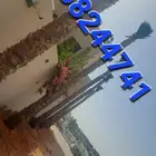 نخل واشنطونيا زينه Top