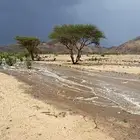 حطب سمر اشلاخ ومباريم على الشرط مسح غماره الموقع الدوادمي