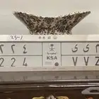 لوحه مميزة بمصدر م ي ي 224