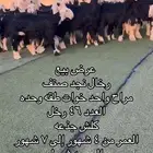 رخال نجد مراح كامل