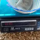 سمك بلطي