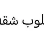 مطلوب شقة بلاطة بسطح خاص