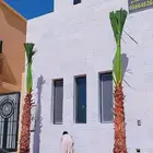نخيل