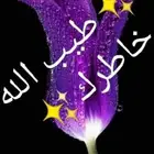 للمقاولات العامه واعمال القراميد