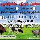 سمن   غنم وسمن