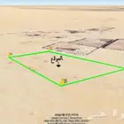 مزرررعة للبيع او الايجار بكر مساحة 200 الف متر