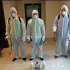 شركة مكافحه حشرات ورش الصراصير بمكة