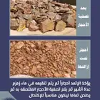 كحل الإثمد الأصلي بماء زمزم صافي ومضمون ومجرب