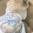 قطوه انثى طالبه تزاوج