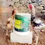 دجاج فارسي