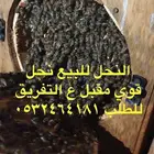 نحل بلدي للبيع