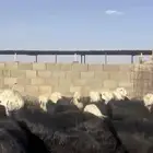 رخال نجد دغم العدد 40 و3 خرفان فحول مقرعه لها شهرين