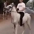 مهر شعبي