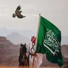 تصاميم وموشن جرافيك اليوم الوطني