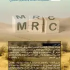 تصميم بروشور انيق يعكس فخامه نشاطك او منتجك