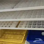 فقاسات فل أوتوماتيك كاملة