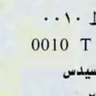 لوحة 10