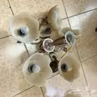 نجف شبه جديد للبيع
