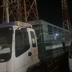 مطلوب دينا لنقل غنم وأغراضها من الحفر للطائف