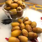 تمر دقلة وداد بيض الحمام من نوادر التمور واجملها على اللطلاق
