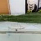 المرخ الجيزاني الطازج الاخضر الجديد الرياض الحله