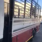 دينا شبك توصيل الحناكيه