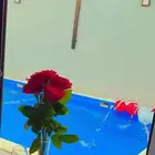 شاليه بريم روز الفندقية