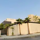 نخيل واشنطونيا