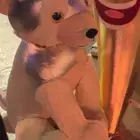 دبدوب الستي ووك الكبير