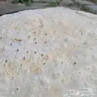 خبز صاج خبز تنور