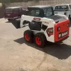 بوبكات. 2025