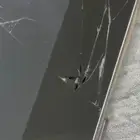 صيانة فورية جميع الاجولات