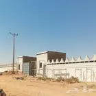ليسه ملونه