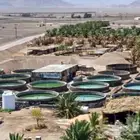 خزانات دايري حق سم  شغل نيظف شعل ممتاز خزان مبروم خزان حق سم