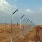 شبوك بجميع انواعها