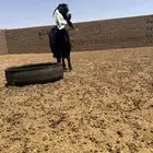معزا عوارض صنف اصنف