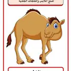 اخصائي تخاطب وتنمية مهارات وتعديل سلوك