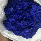ورد جمله طبيعي