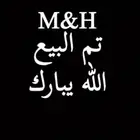 قنافذ نجدية