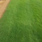 جميع انواع التيل التيل طبيعي سي 2000 درجه اولى ياباني انطول