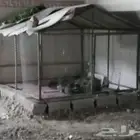 شبك دجاج ارانب حمام