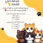 فندقه للقطط الرياض حي الشفاء