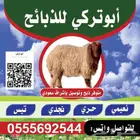 متوفر ذبح وتوصيل