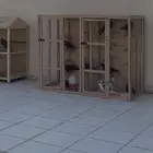 عشة مطير