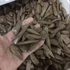 بدأت عروض الجملة على عود البخور الفاخر